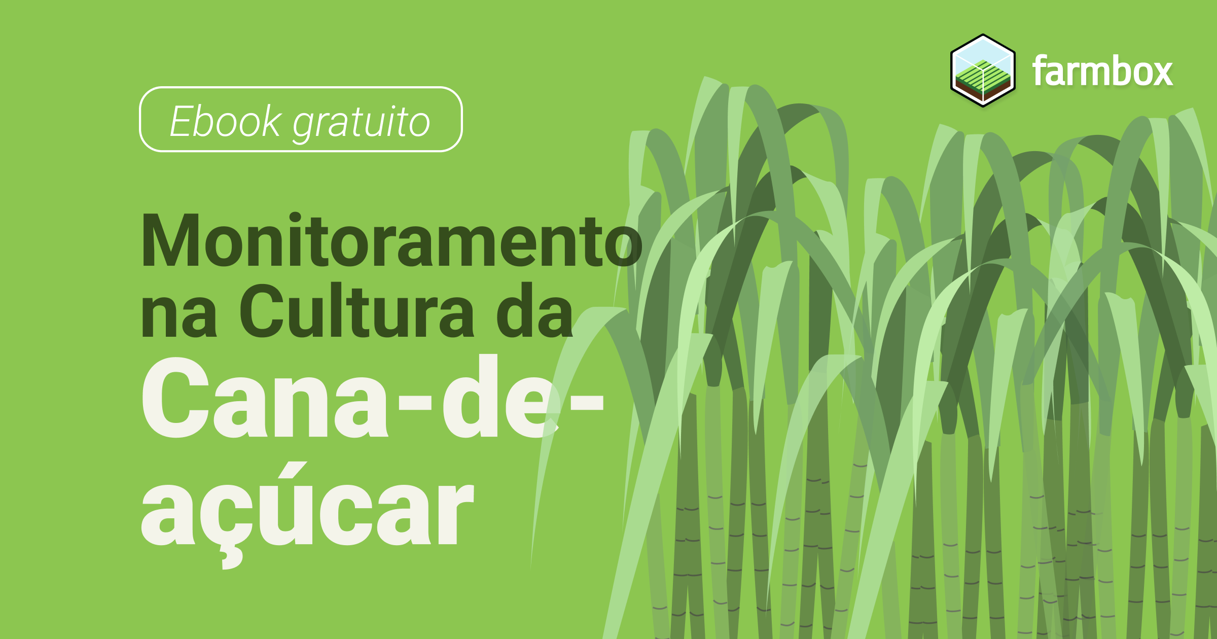 Monitoramento Na Cultura Da Cana De A Ucar